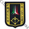 Patch ricamata AM Frecce Tricolori